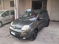 Usata Fiat Panda 4x4 S 95 CV (69 kW) 2017 Verde Utilitaria