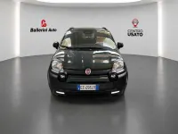 Usata Fiat Panda Cross Cross 69 CV (50 kW) 2025 Verde Utilitaria