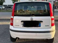 Usata Fiat Panda Dynamic 60 CV (44 kW) 2007 Bianco Utilitaria