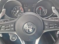 Usata Alfa Romeo Stelvio 190 CV (139 kW) 2019 Grigio SUV