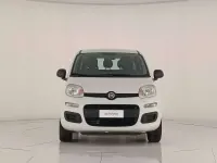 Usata Fiat Panda Easy 80 CV (58 kW) 2018 Bianco gelato Utilitaria