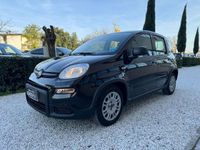 usata Fiat Panda 1.0 FireFly Hybrid 70cv MT6 S&S - OK Neopatentati