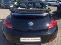 Usata VW Beetle Cabriolet Design 105 CV (77 kW) 2015 Nero Cabrio