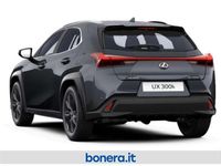 Nuova Lexus UX 300h 199 CV (146 kW) 2025 Pure white SUV