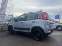 Usata Fiat Panda 4x4 S 86 CV (63 kW) 2019 Grigio Utilitaria