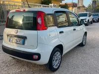 Usata Fiat Panda S 69 CV (50 kW) 2020 Bianco Utilitaria