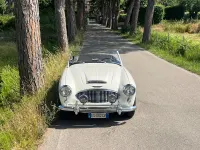 Usata Austin Healey 100/6 1957 Bianco Cabrio