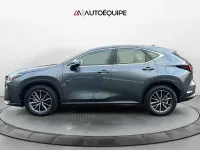 Usata Lexus NX350h Business Edition 243 CV (178 kW) 2023 Grigio SUV