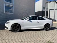 Usata Audi A5 Ambition 170 CV (125 kW) 2011 Bianco Coupé