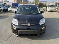 Usata Fiat Panda S 69 CV (50 kW) 2024 Nero Utilitaria
