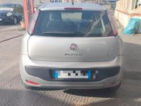 usata Fiat Punto Evo 1.2 5 porte Active