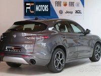 usata Alfa Romeo Stelvio 2.2 d Q4 TI