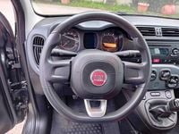 Usata Fiat Panda Easy 69 CV (50 kW) 2017 Grigio Utilitaria