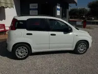 Usata Fiat Panda Easy 75 CV (55 kW) 2013 Bianco Utilitaria