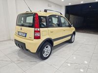 Usata Fiat Panda 4x4 Climbing 69 CV (50 kW) 2006 Giallo Utilitaria