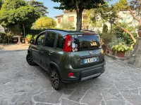 Usata Fiat Panda 4x4 85 CV (62 kW) 2018 Verde Utilitaria