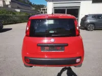 Usata Fiat Panda Easy 69 CV (50 kW) 2017 Rosso Utilitaria