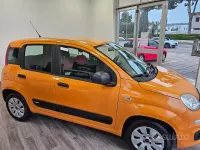 Usata Fiat Panda 69 CV (50 kW) 2020 Arancione Utilitaria