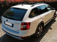 Usata Skoda Octavia Scout Scout 4x4 2015 Bianco Station wagon