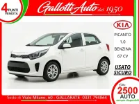 Begagnad Kia Picanto Urban 67 HK (49 kW) 2024 Vit Halvkombi