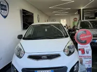 Usata Kia Picanto 67 CV (49 kW) 2015 Bianco Utilitaria