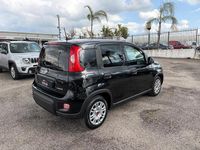 Usata Fiat Panda S 71 CV (52 kW) 2023 Nero Utilitaria