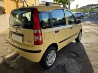 Usata Fiat Panda Dynamic 60 CV (44 kW) 2008 Giallo Utilitaria