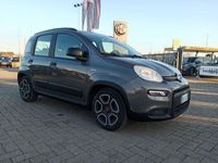 usata Fiat Panda 1.0 FireFly S&S Hybrid City Life