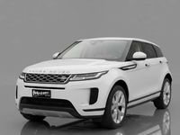 Usata Land Rover Range Rover evoque SE 163 CV (119 kW) 2022 Bianco met. SUV