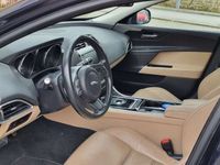 usata Audi A5 Jaguar 20d AWD Prestige Business edition 180cv
