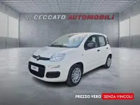 Nuova Fiat Panda Icon 65 CV (47 kW) 2026 Bianco Utilitaria