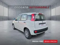 Nuova Fiat Panda Icon 65 CV (47 kW) 2026 Bianco Utilitaria