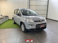 usata Fiat Panda 1.0 FireFly S&S Hybrid