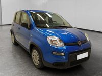 Usata Fiat Panda S 69 CV (50 kW) 2024 Blu italia Utilitaria