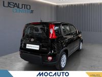 Usata Fiat Panda Icon 70 CV (51 kW) 2024 Nero Utilitaria