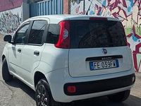 Usata Fiat Panda 85 CV (62 kW) 2016 Bianco Utilitaria