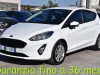 Usata Ford Fiesta 75 CV (55 kW) 2021 Bianco Utilitaria