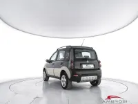 Usado Fiat Panda 4x4 Cross 69 CV (50 kW) 2006 Verde Utilitario