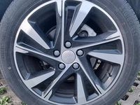 Usata EVO Evo 5 127 CV (93 kW) 2023 Bianco SUV