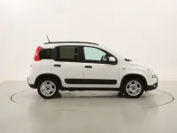 Usata Fiat Panda City Life 70 CV (51 kW) 2023 Biancobianco Utilitaria