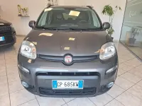 Usata Fiat Panda Cross Cross 70 CV (51 kW) 2023 Grigio Utilitaria