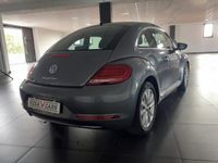 usata VW Maggiolino MAGGIOLINO2.0 TDI DESIGN