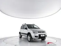 Usata Fiat Panda 4x4 Cross 69 CV (50 kW) 2007 Grigio Utilitaria