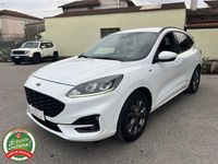 Usata Ford Kuga ST-Line X 120 CV (88 kW) 2021 Bianco SUV