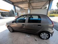 Usata Fiat Punto Dynamic 60 CV (44 kW) 2006 Marrone Utilitaria