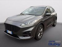 Usata Ford Kuga ST-Line 150 CV (110 kW) 2023 Grigio SUV