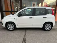 Begagnad Fiat Panda S 69 HK (50 kW) 2021 Vit Sedan