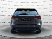 Usata Lexus NX300h 243 CV (178 kW) 2020 Grigio SUV