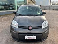 Usata Fiat Panda S 69 CV (50 kW) 2023 Grigio Utilitaria