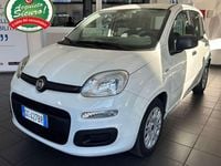 Usata Fiat Panda 69 CV (50 kW) 2020 Bianco gelato Utilitaria